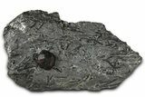 Red Embers Garnet in Graphite - Massachusetts #375798-1
